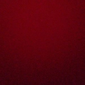 Meet your Posher, Gabby