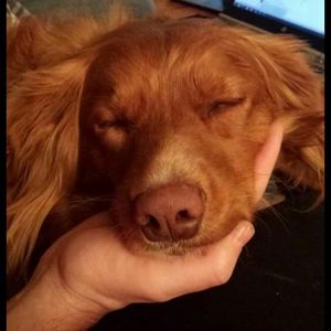 Meet your Posher, Cecilia