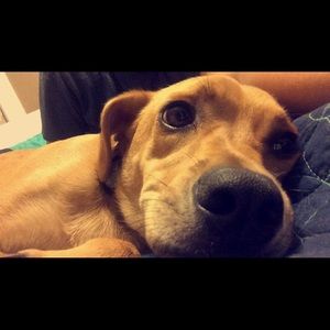 Meet your Posher, Madi