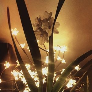 Meet your Posher, Kathrine