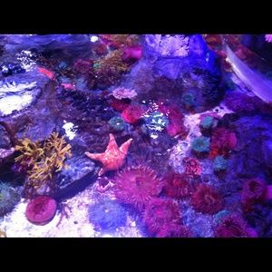 Meet your Posher, Katrina