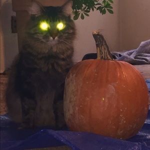 Meet your Posher, Lesley