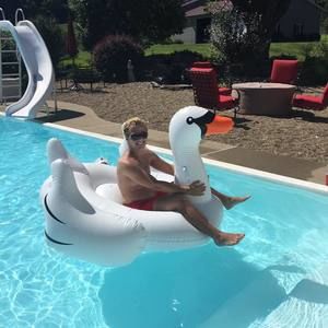 Meet your Posher, Carter