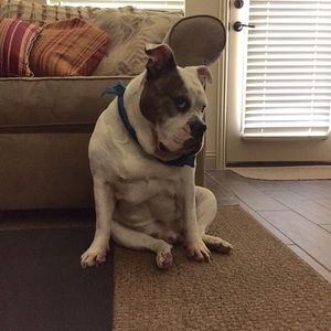 Meet your Posher, Damien