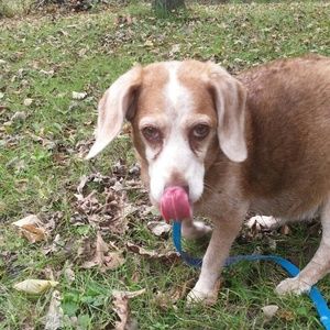 Meet your Posher, Kara