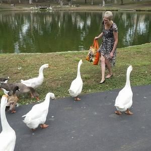 Meet your Posher, Cheryl