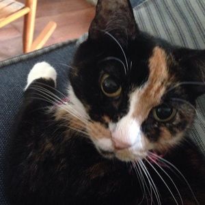 Meet your Posher, Libby