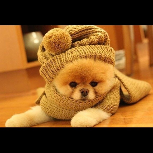 Meet your Posher, Julia