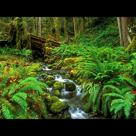 Meet your Posher, Tina - Picture 1 of 1