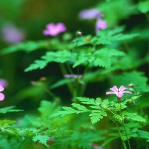 Meet your Posher, Rita