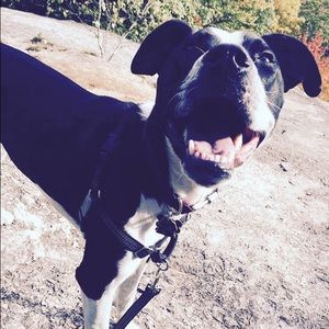 Meet your Posher, Casey