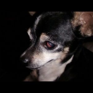 Meet your Posher, Chrissy