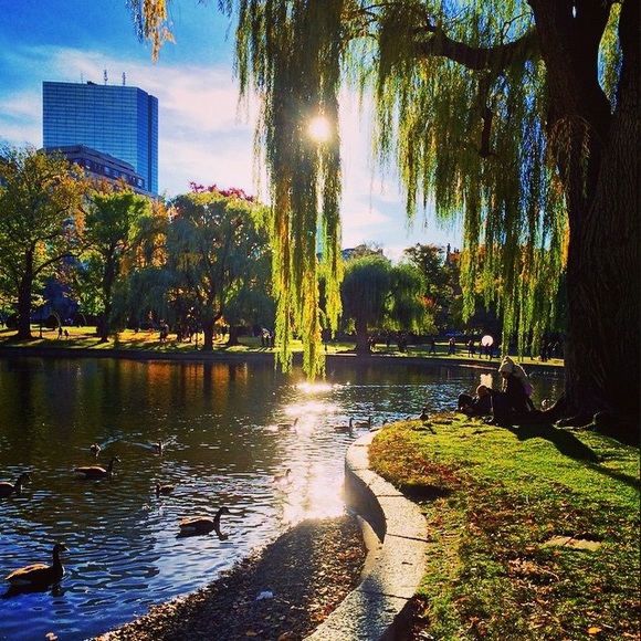 Meet your Posher, Jenn - Picture 2 of 2