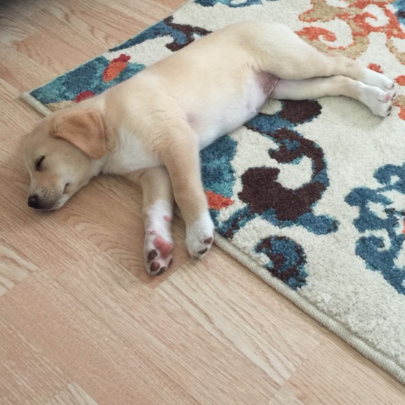 About Me Finally Right! - Picture 3 of 3