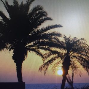 Meet your Posher, Danette