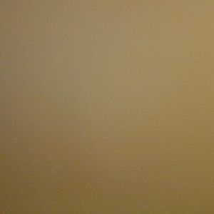 Meet your Posher, Maggie