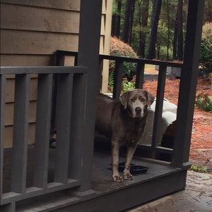 Meet your Posher, Kristi