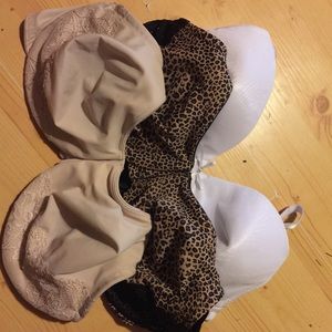 1 40 DD Curvation 2 40 DD Olga