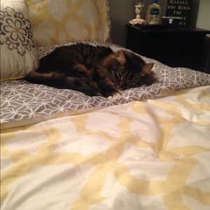 Meet your Posher, Shelby