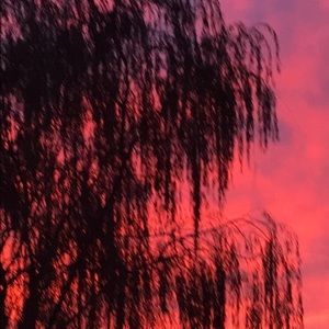 Meet your Posher, Angel