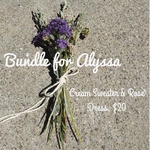 American Apparel Cream Sweater & Rose Dress Bundle