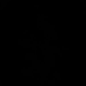 Meet your Posher, Krista