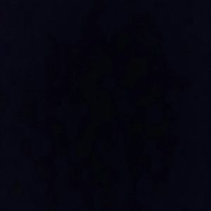 Meet your Posher, Gail