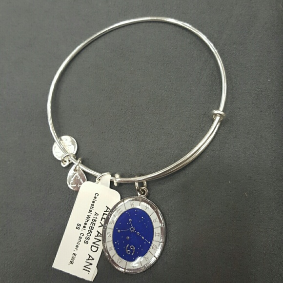 NEW Alex and Ani Bracelet