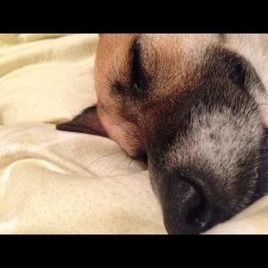 Meet your Posher, Maty