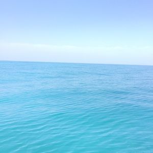 Meet your Posher, Christy