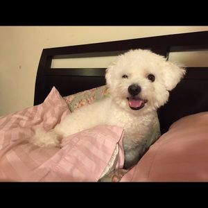 Meet your Posher, Monique