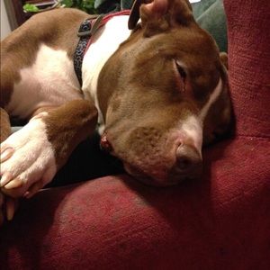 Meet your Posher, Ann