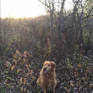 Meet your Posher, Carmela