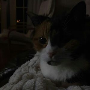 Meet your Posher, Teri