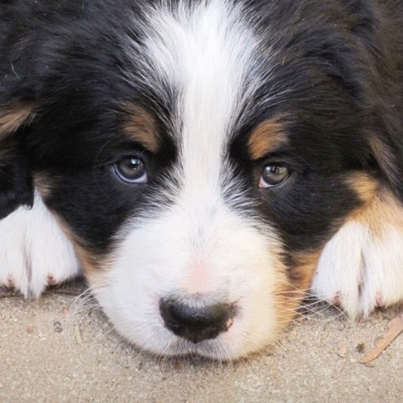 Meet your Posher, Krysta