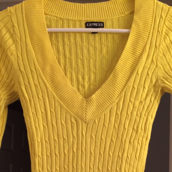 Express V-neck sweater