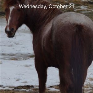 Meet your Posher, Jean