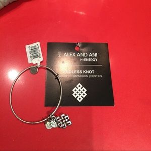 Alex and Ani bracelet