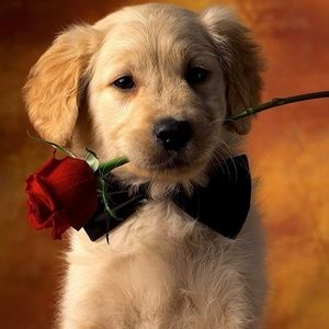 Meet your Posher, Myah