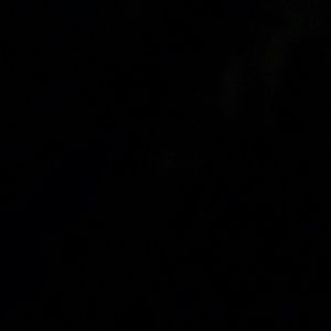 Meet your Posher, Kierra