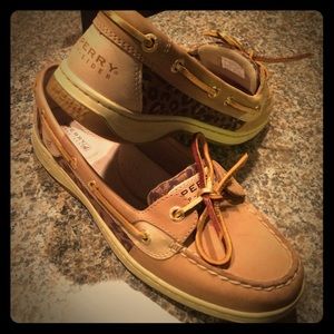 Sperry Top Spider