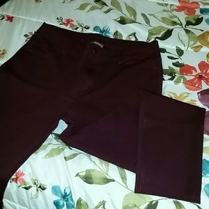 Avenue Maroon Pants/leggings