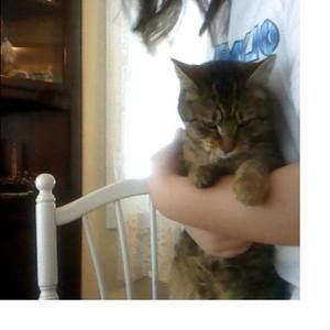 Meet your Posher, Jayne