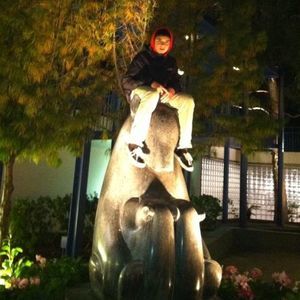 Meet your Posher, Josh