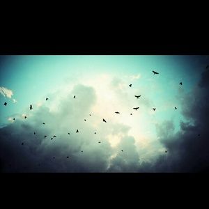 Meet your Posher, Suzanne