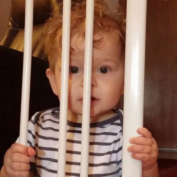 Meet your Posher, Dawn