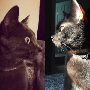 Meet your Posher, Ken