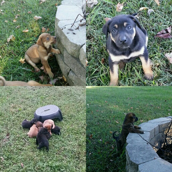 Meet your Posher, Michelle - Picture 5 of 7