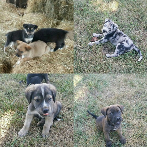 Meet your Posher, Michelle - Picture 6 of 7