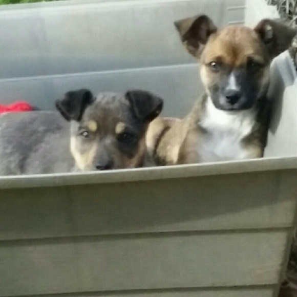 Meet your Posher, Michelle - Picture 7 of 7